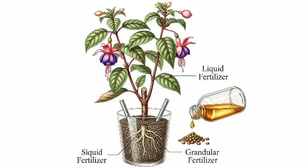 Comparaison visuelle des engrais liquides, granulés et bâtons pour plantes d'intérieur.