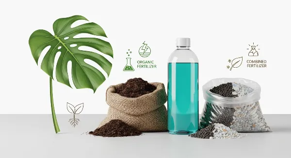 Comparaison de différents types d'engrais : organique, minéral et combiné
